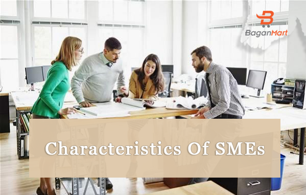 characteristics-of-SMEs.png